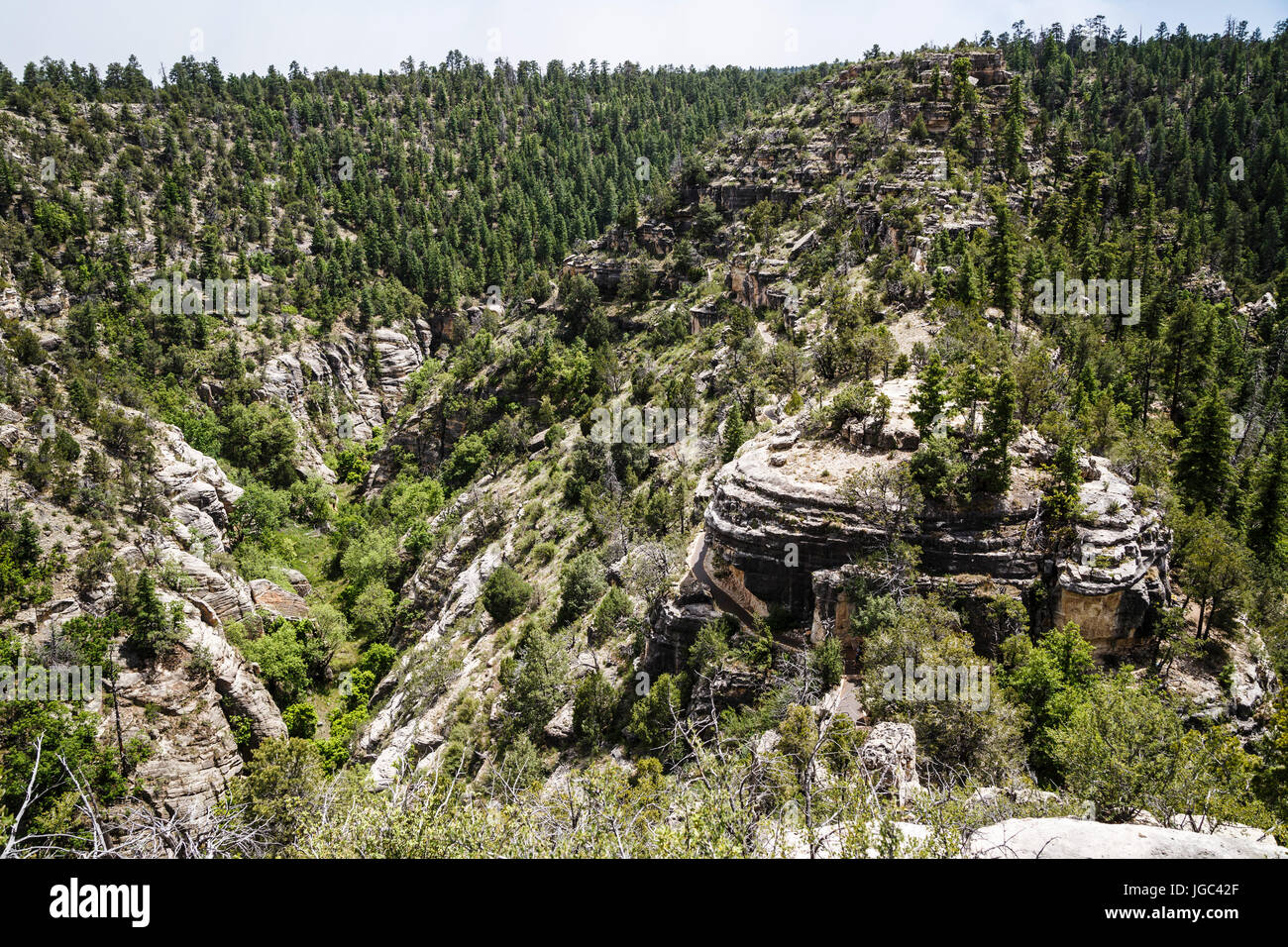 Walnut Canyon National Monument, Arizona, USA Stock Photo