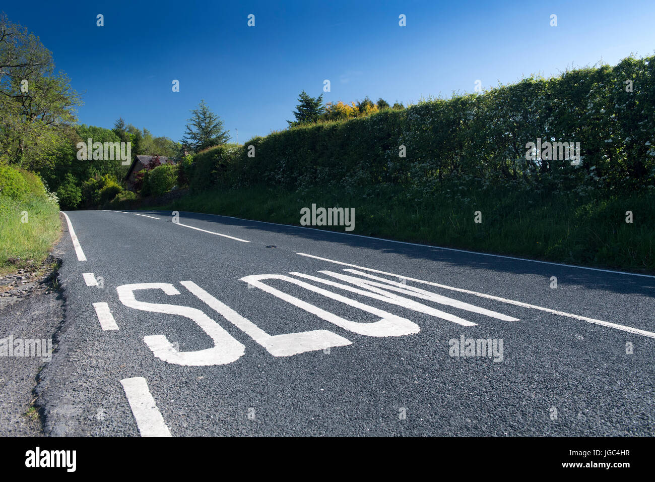 SLOW road markings on a rural road in Lancashire, UK. Stock Photo