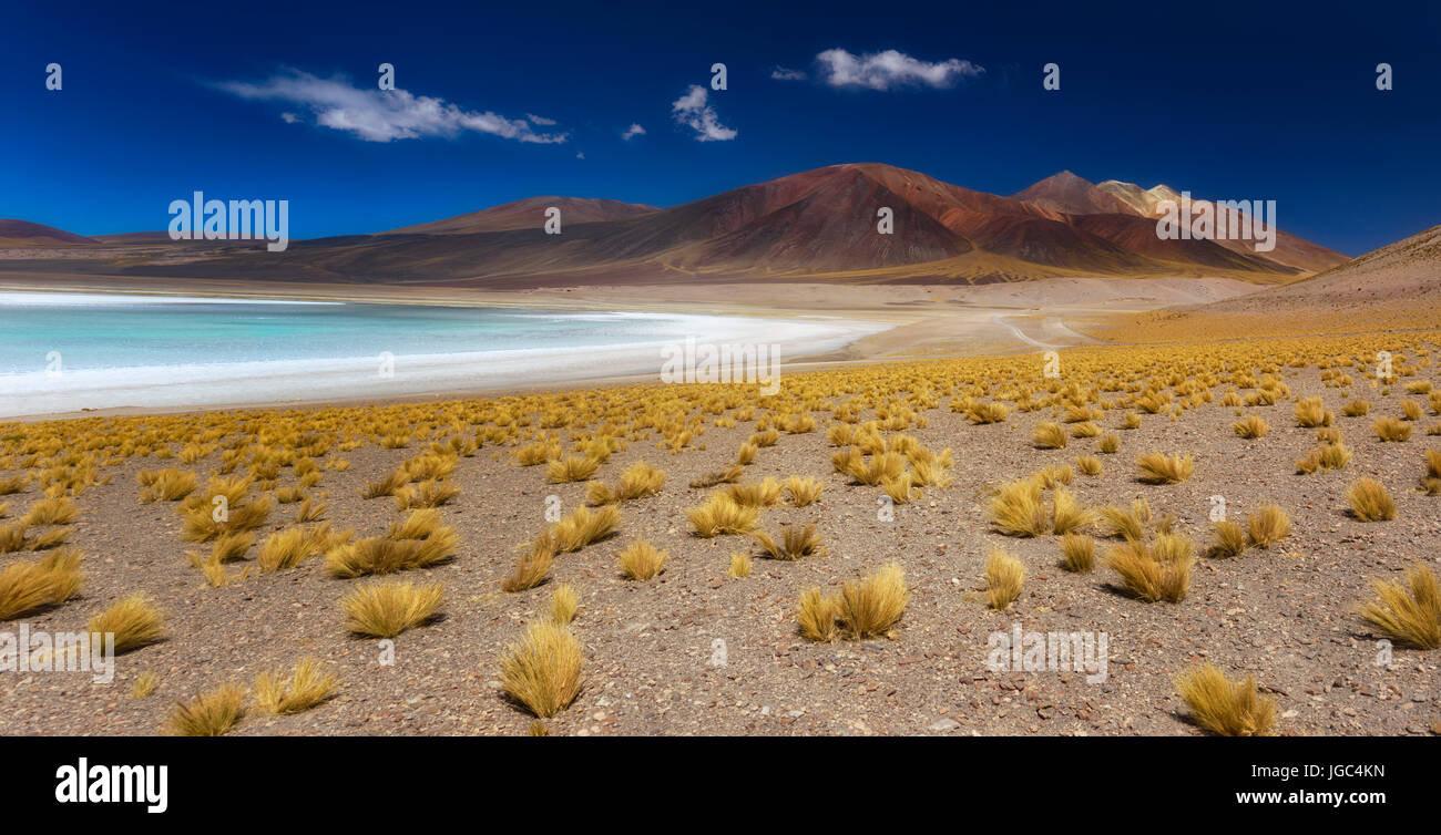 Tuyajto lake, Atacama desert, Chile Stock Photo