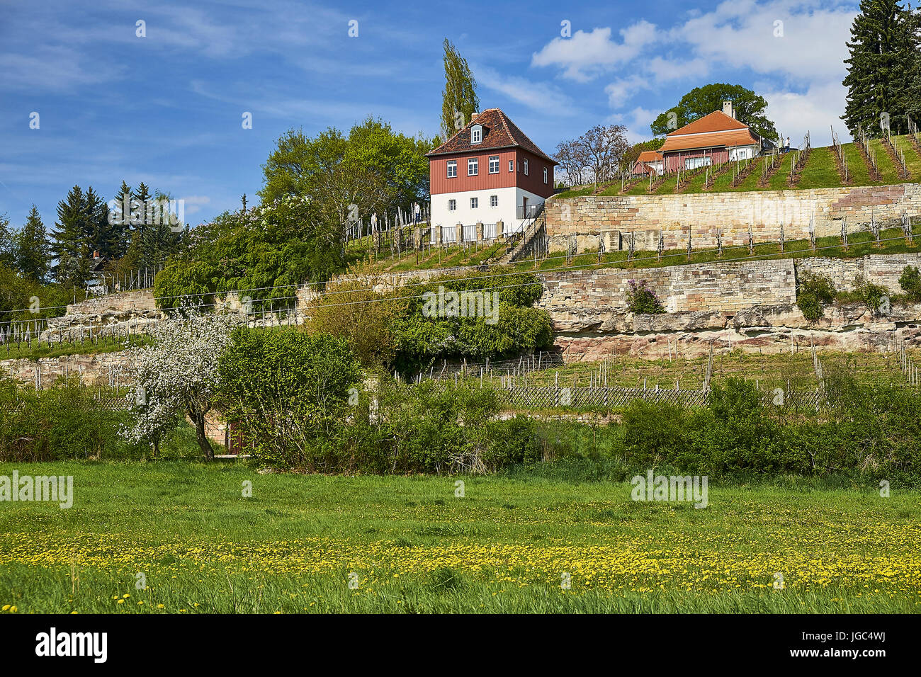 Vineyard Memorial Stock Photos Vineyard Memorial Stock Images