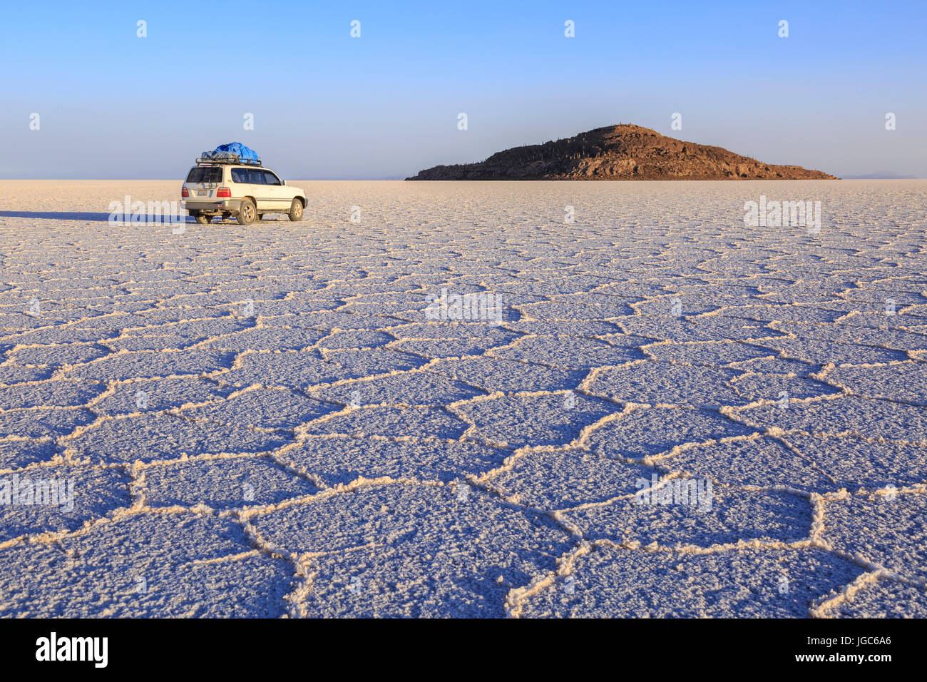 Isla Incahuasi in Salar de Uyuni, Bolivia, South America Stock Photo