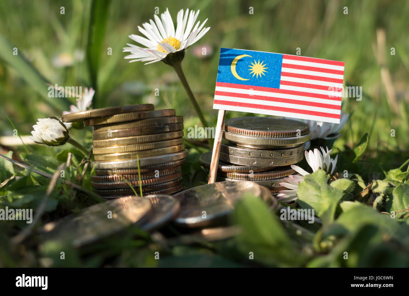 Malaysian flag with stack of money coins with grass and flowers Stock
