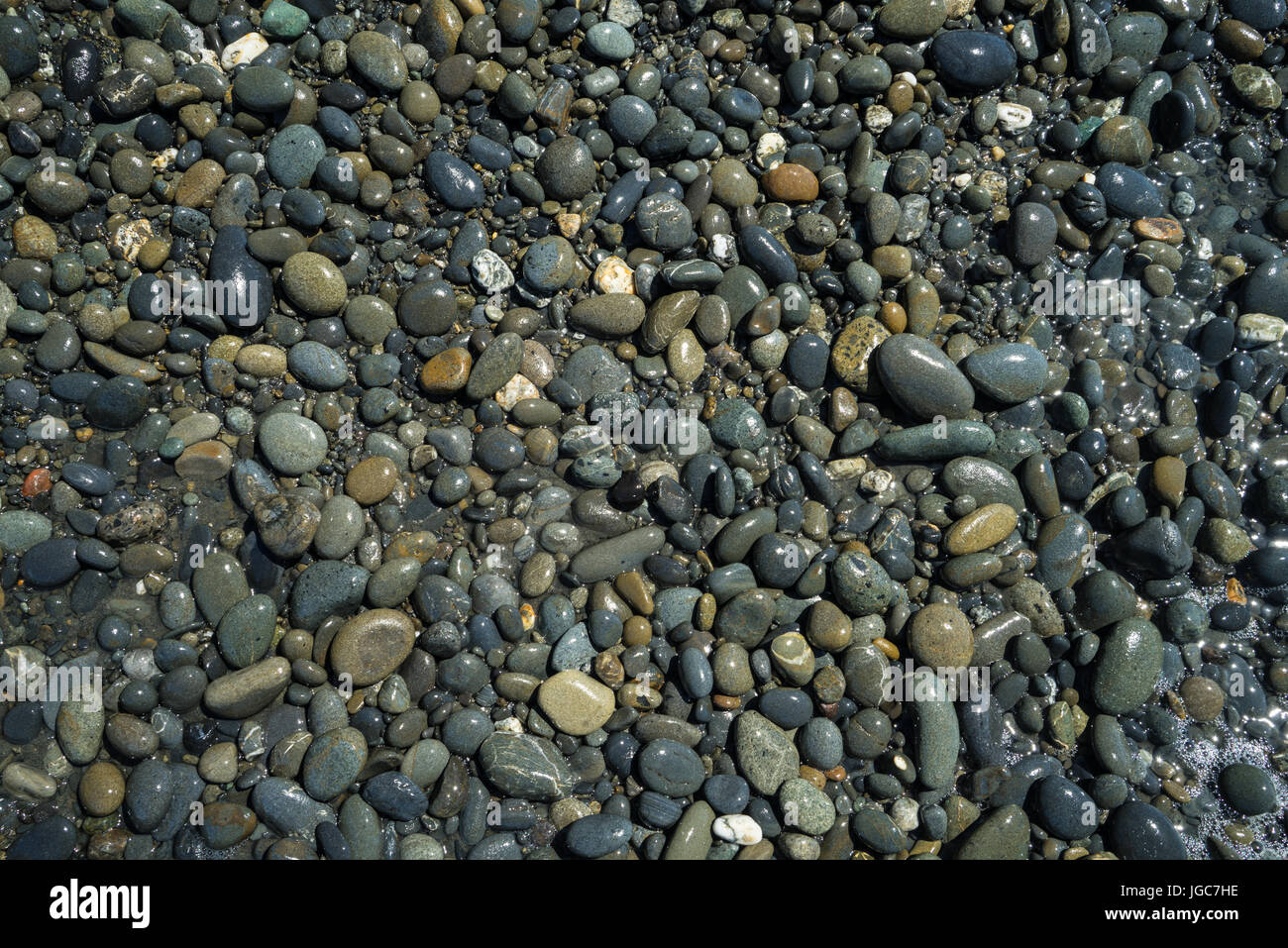 Wet pebbles along the beach Stock Photo