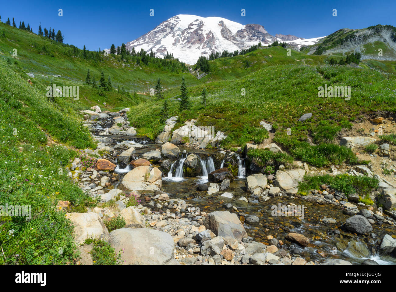 Mount Rainier with a glacier stream and wildflowers Stock Photo