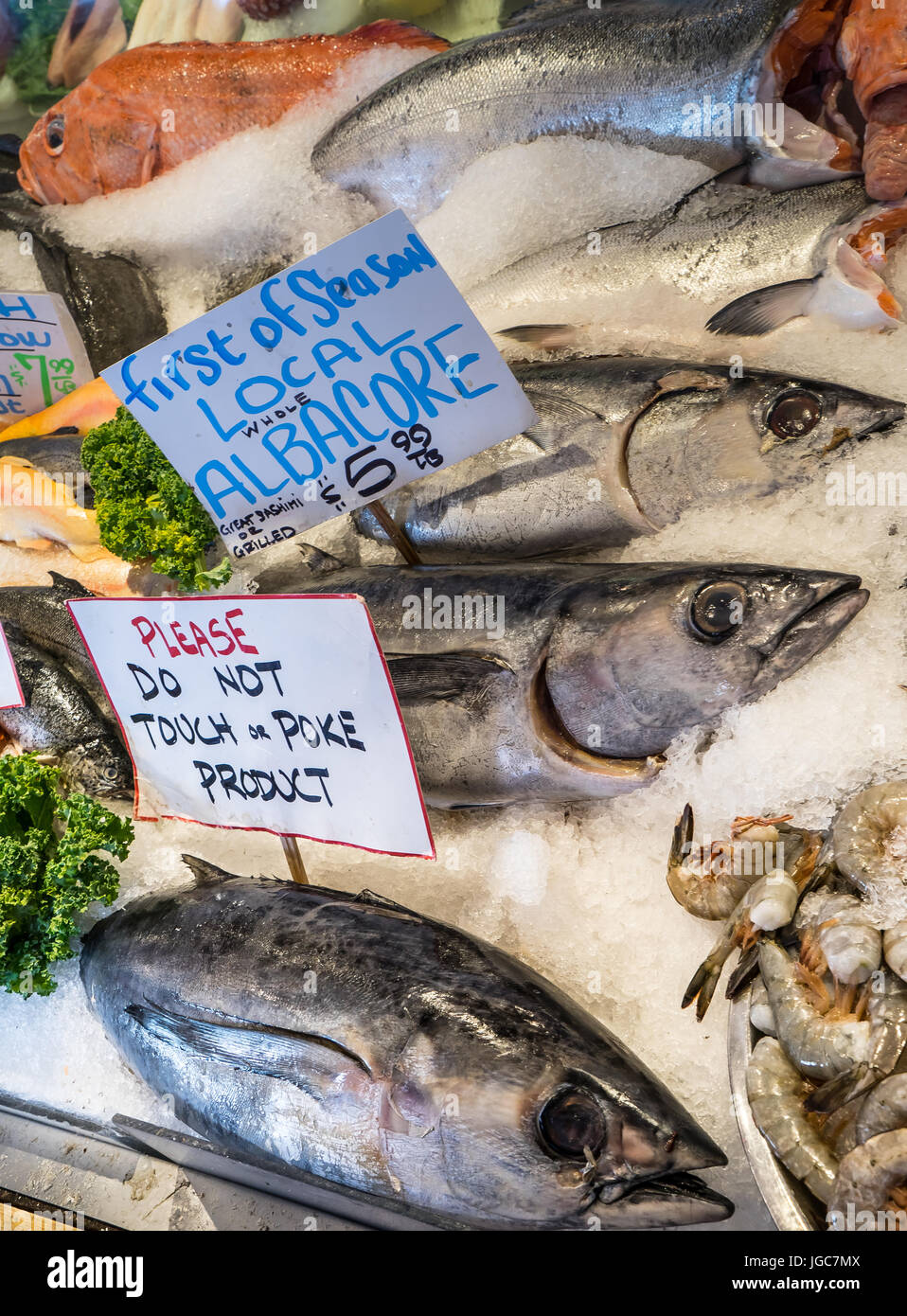 Fresh tuna on ice at seafood market Stock Photo