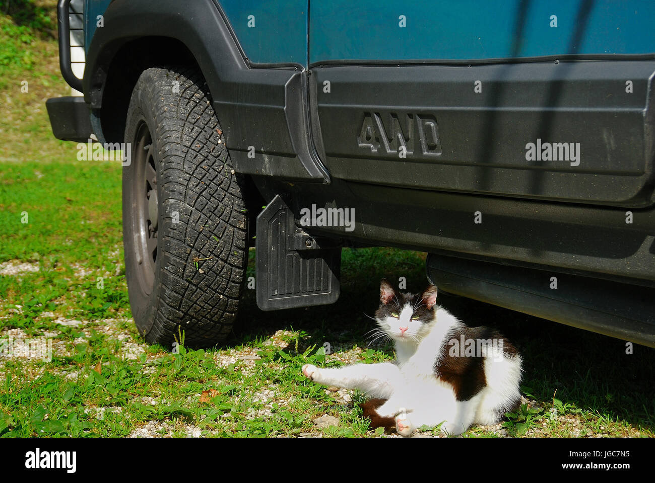 Slovenia, Soca valley, Volarje village, Camp Vili camping. A black and  white cat near a four wheel drive Lada Niva Stock Photo - Alamy