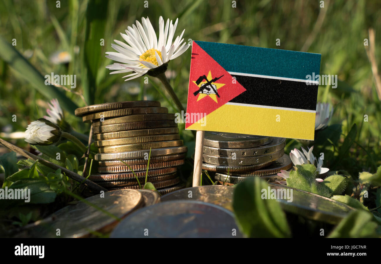 Mozambique flag with stack of money coins with grass and flowers Stock Photo