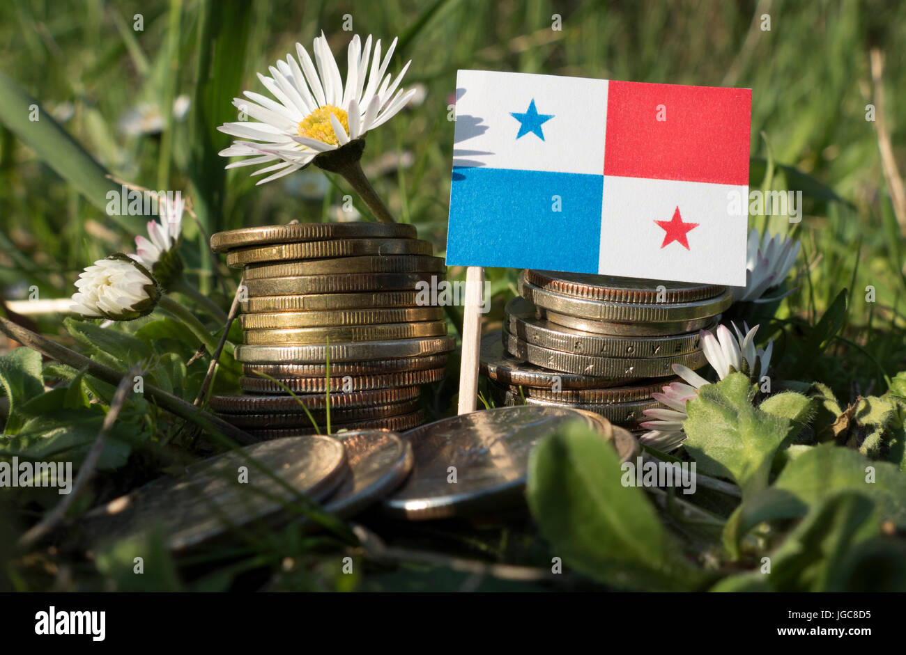 Panama flag with stack of money coins with grass and flowers Stock Photo