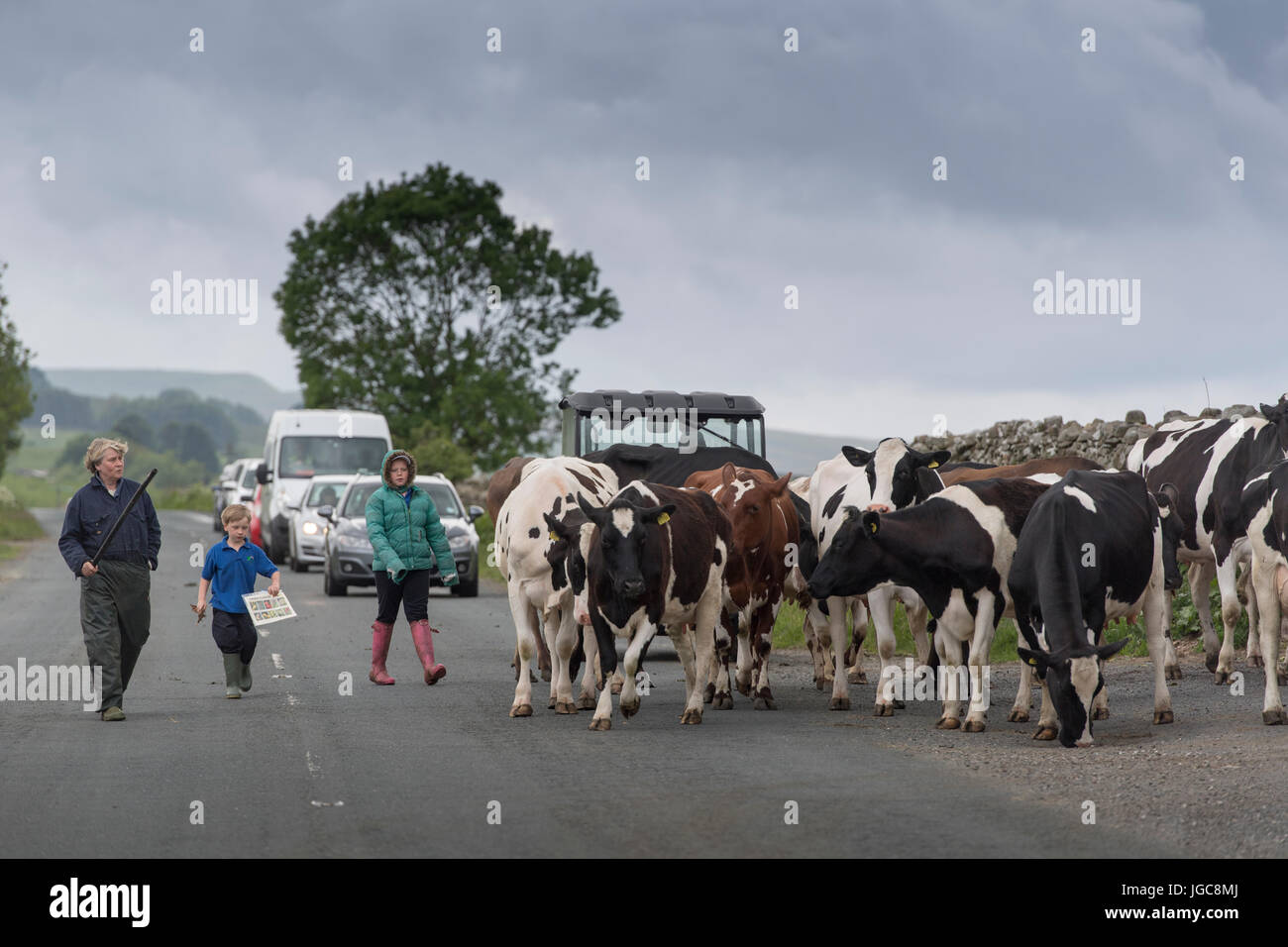 Cattle transport england hi-res stock photography and images - Alamy