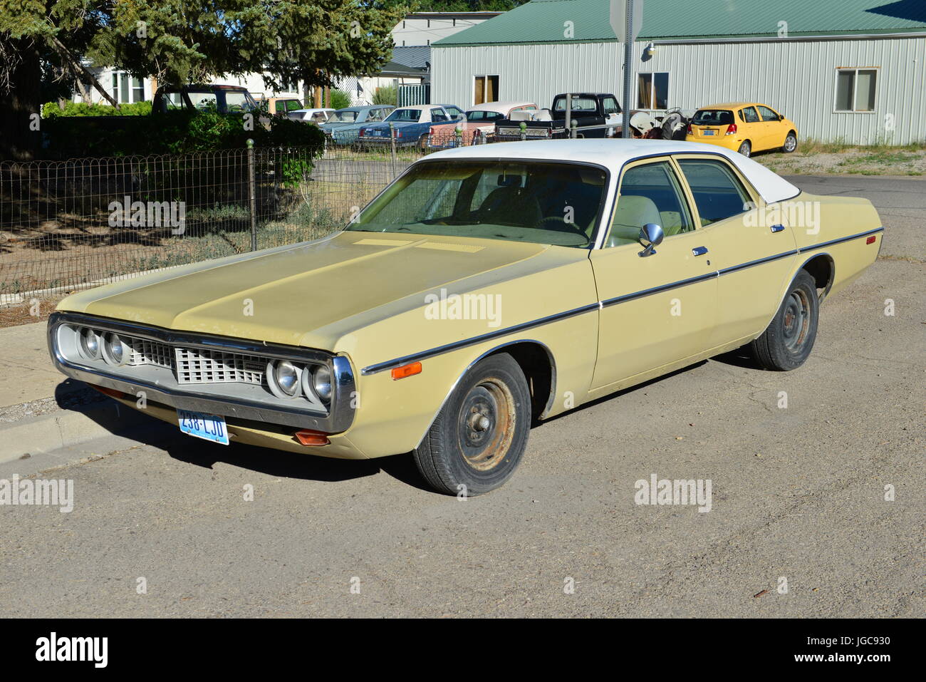 Old American cars abandoned in a street in Ely, Nevada Stock Photo - Alamy