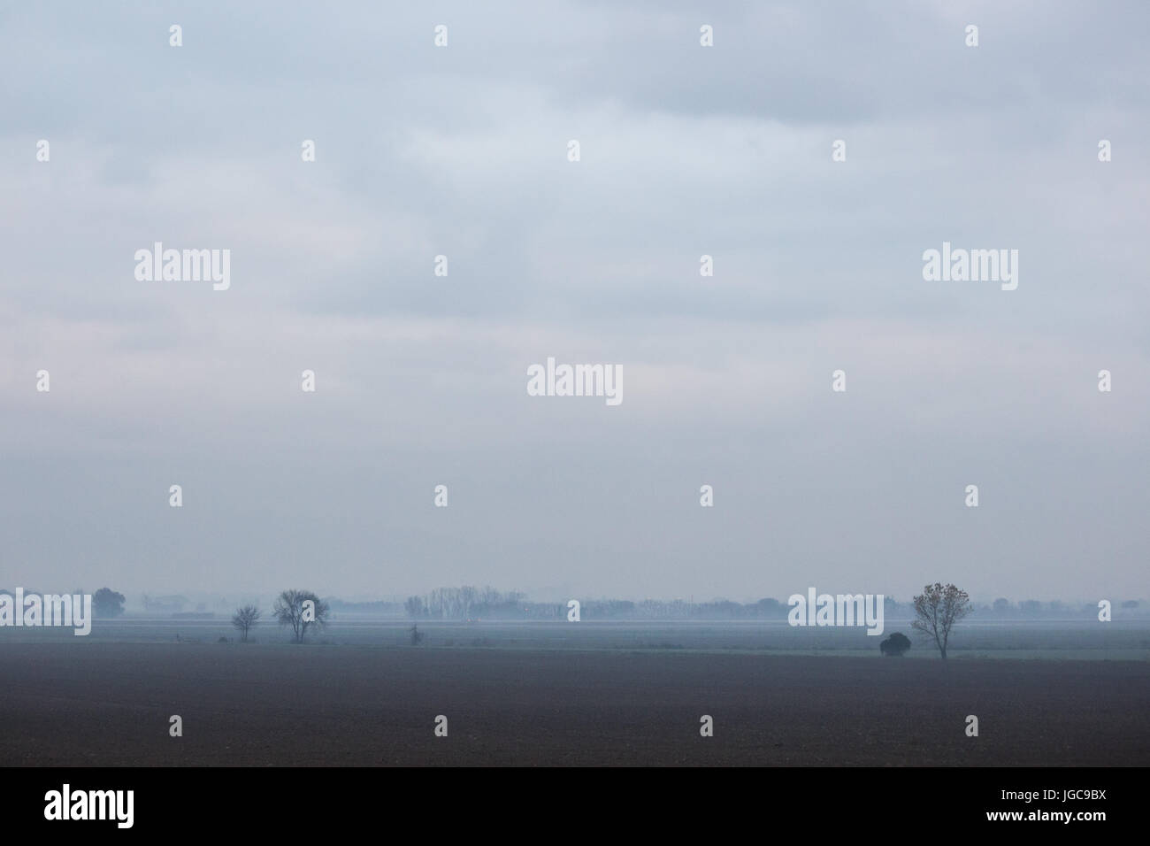 A minimalist view of some distant trees in the fog Stock Photo