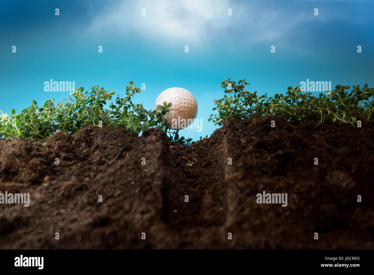Close-up of a golf ball on a golf tee Stock Photo