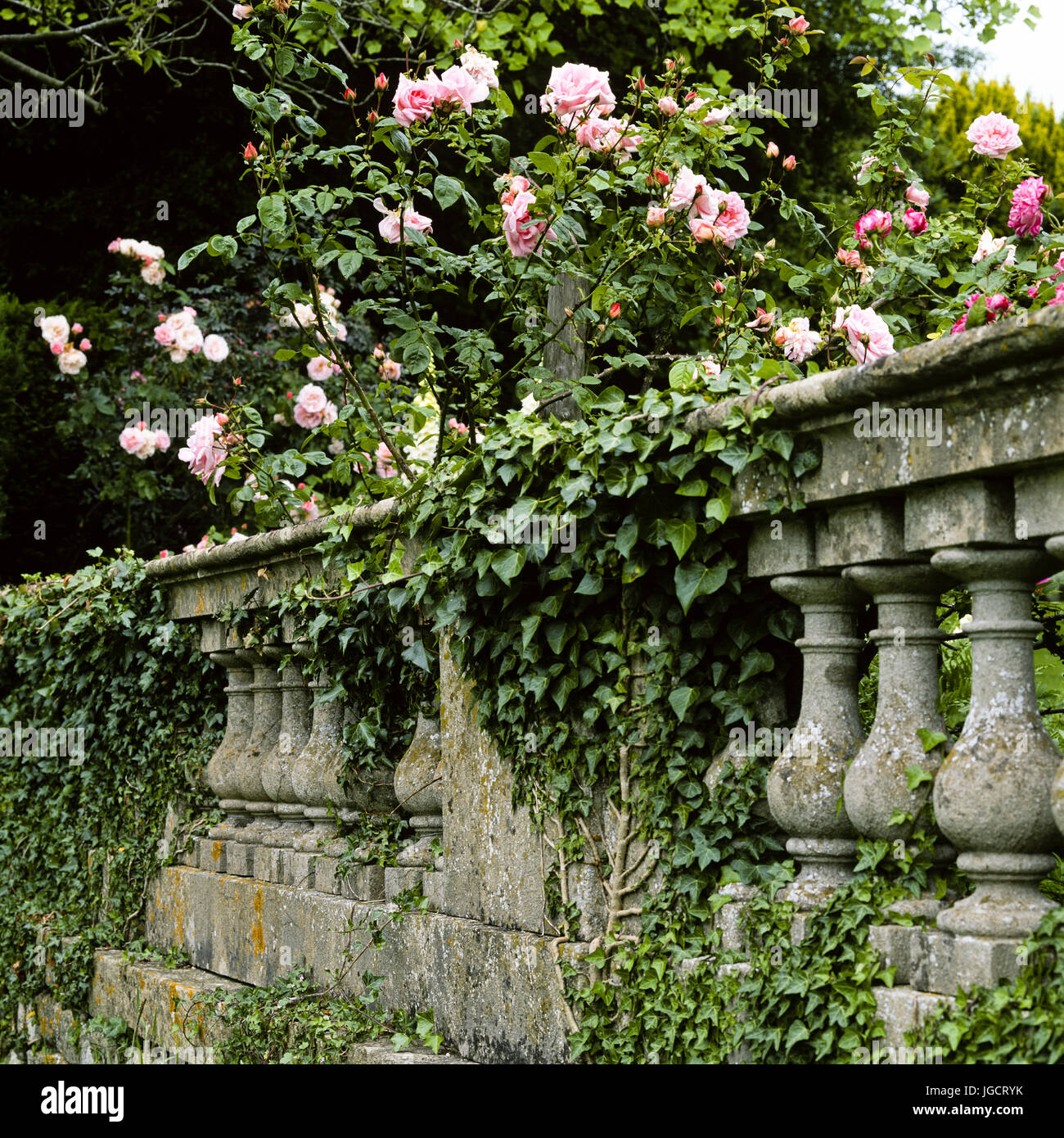 Stone balustrade with pink flowers Stock Photo