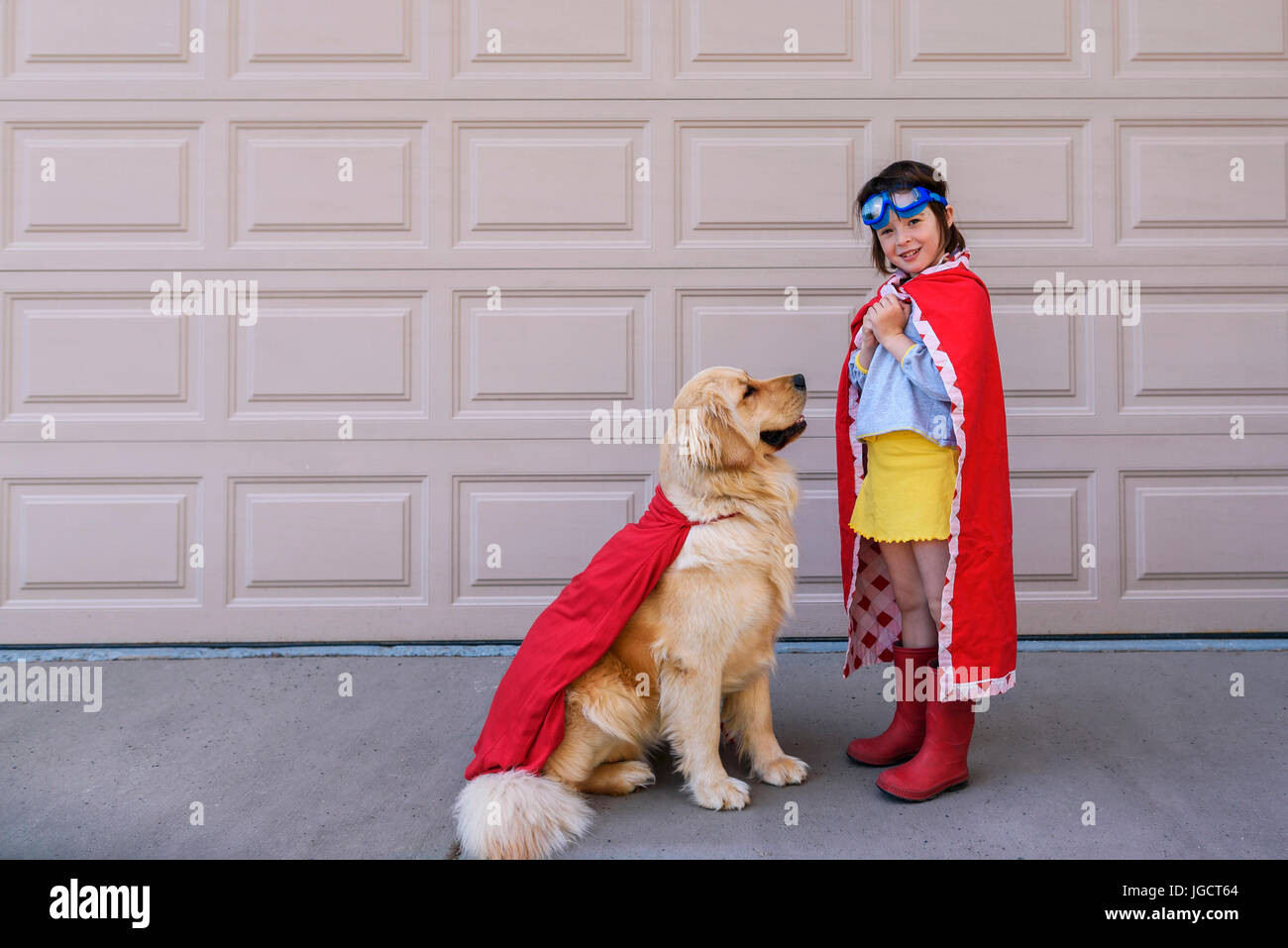 golden retriever superman costume