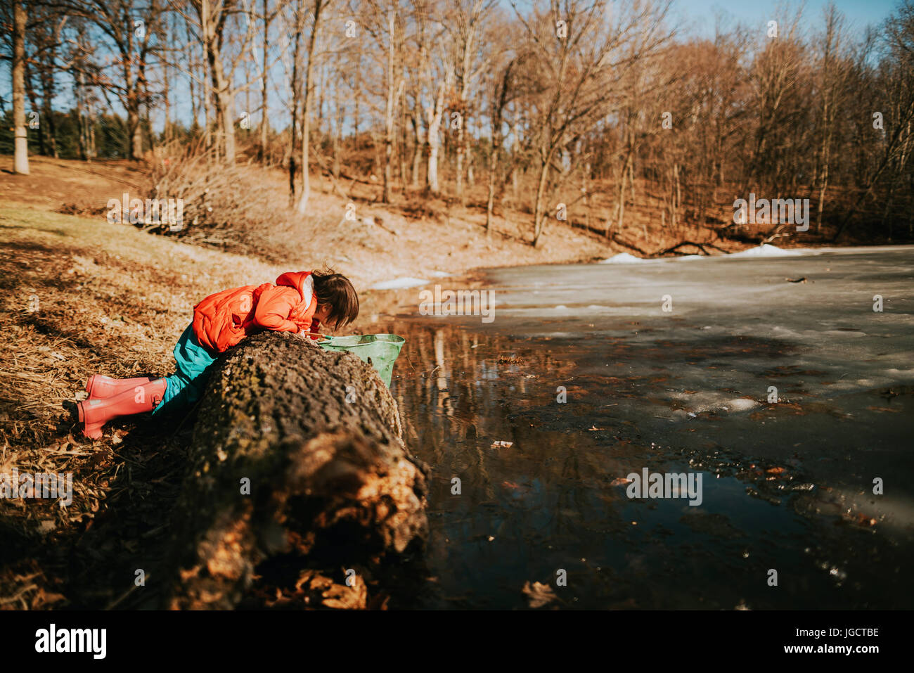 Girl by a pond collecting water bugs Stock Photo