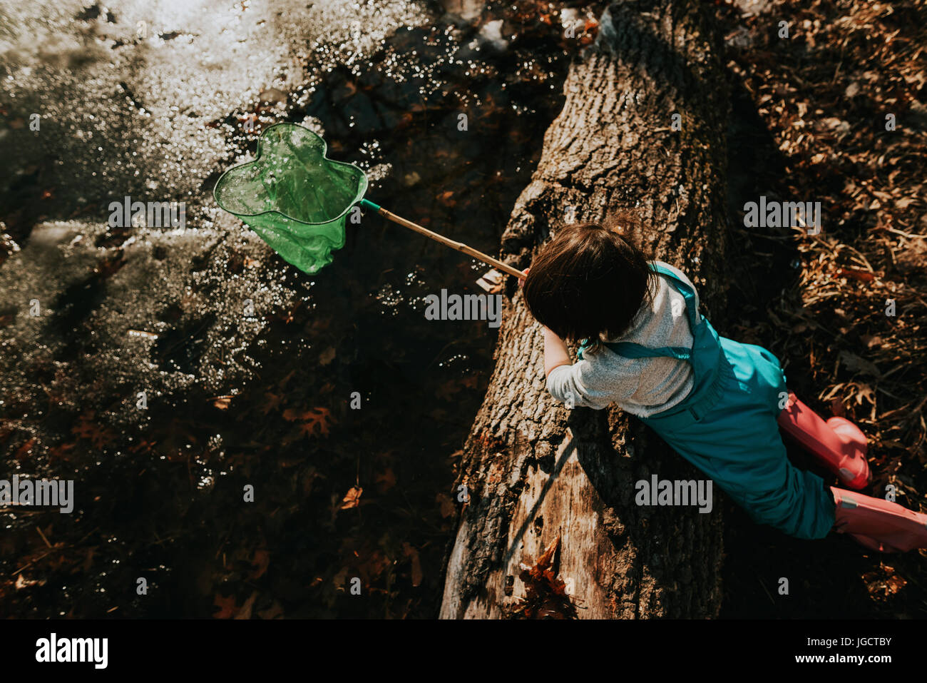 Girl by a pond collecting water bugs Stock Photo Alamy