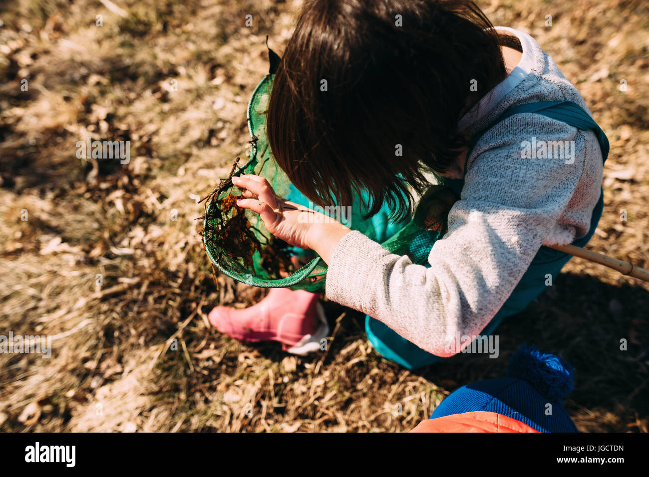 Girl looking at water bugs in a fishing net Stock Photo