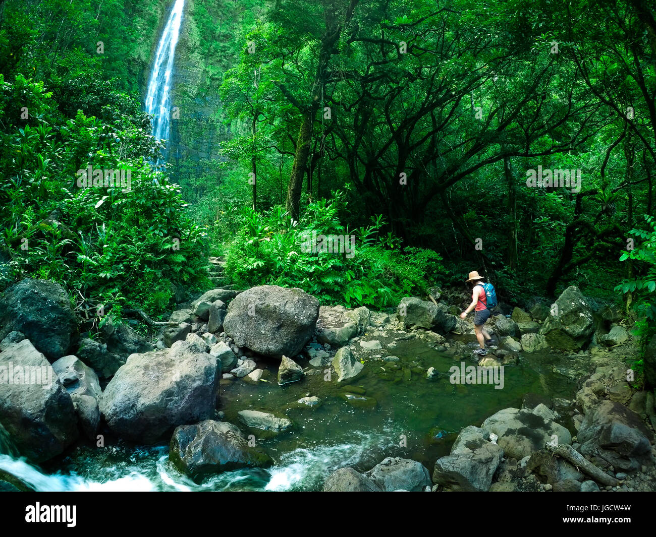 Woman hiking across a stream to a waterfall, Maui, Hawaii, United States Stock Photo