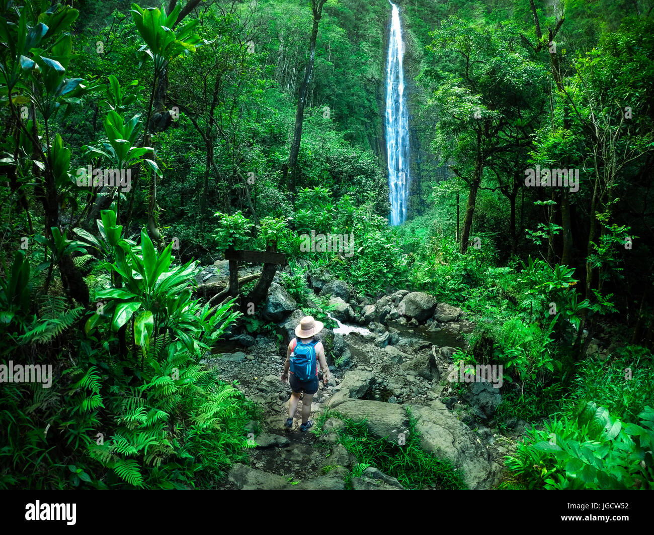 Woman hiking towards a waterfall, Maui, Hawaii, United States Stock Photo