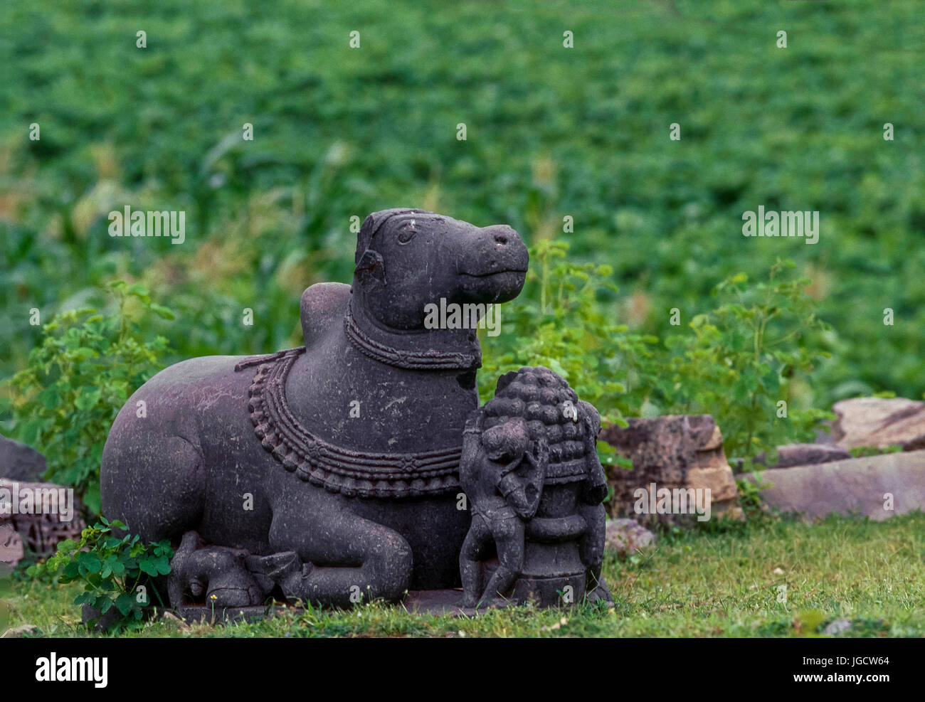 Nandi statue, arthuna Shiva temple, banswara, rajasthan, india, asia