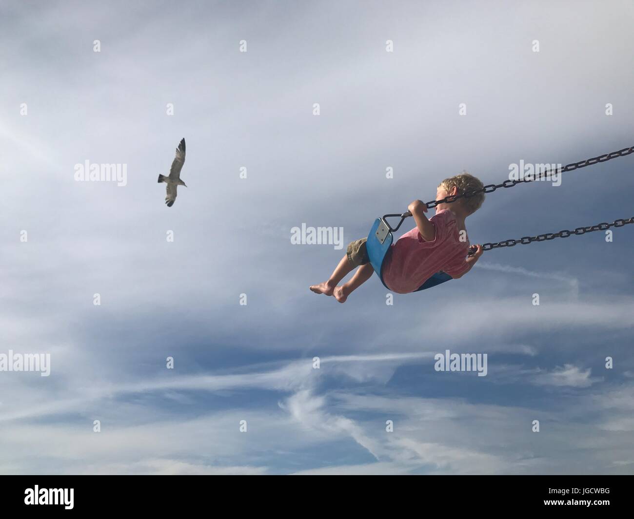 Boy swinging on a swing with a seagull flying by Stock Photo