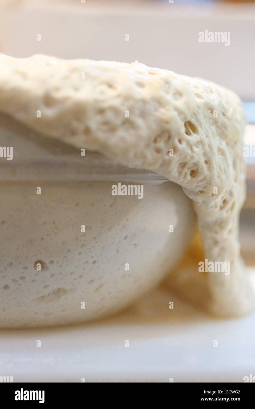 Dough rising over the edge of a glass bowl Stock Photo
