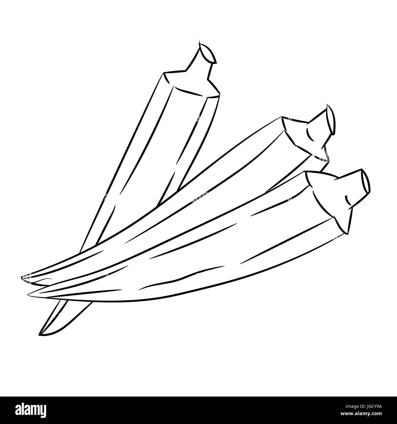 Hand drawn sketch of Okra or Lady's Finger isolated, Black and White Cartoon Vector Illustration for Coloring Book - Line Drawn Vector Stock Vector