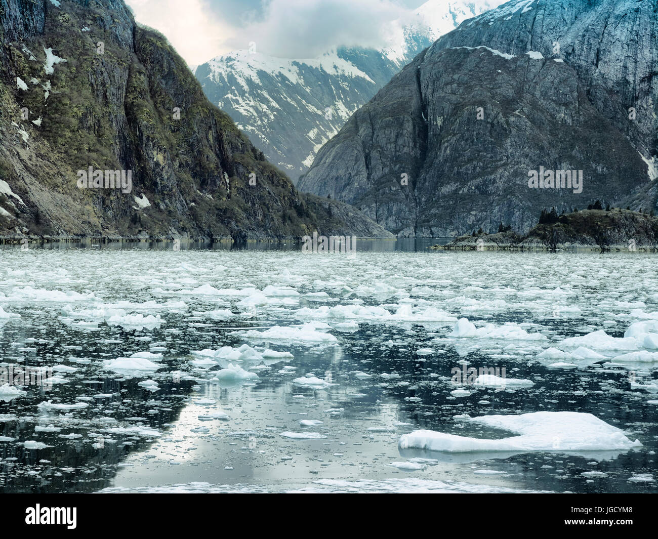 Scenic coastal landscape with steep glacially polished cliffs and floating ice at Tracy Arm Fjord, Alaska Stock Photo