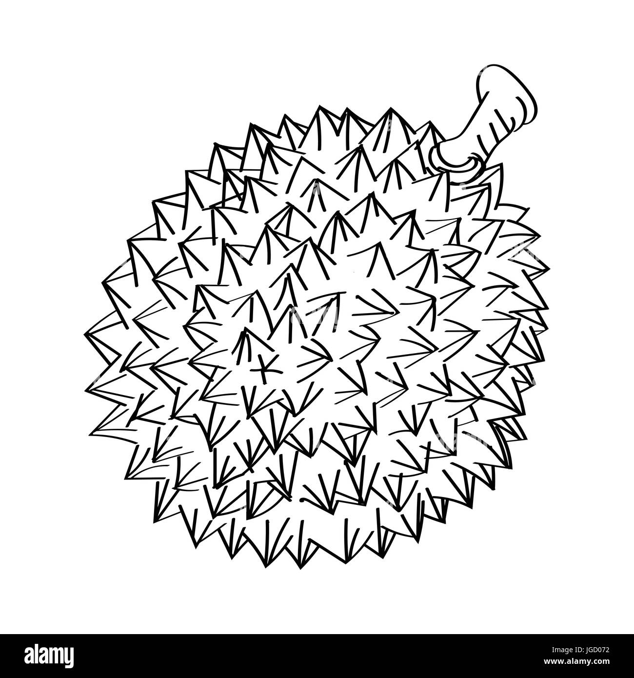 Hand drawn sketch of Durian isolated, Black and White Cartoon Vector Illustration for Coloring Book - Line Drawn Vector Stock Vector
