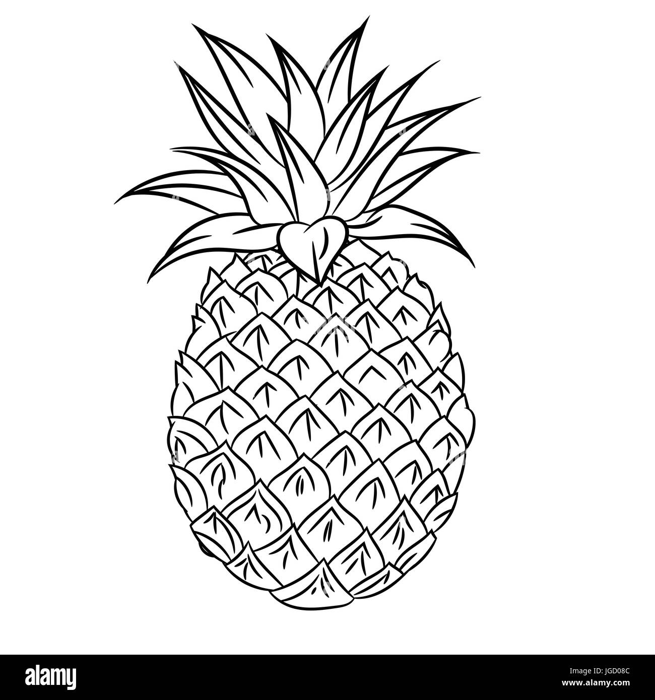 Hand drawn sketch of Mangosteen isolated, Black and White Cartoon Vector Illustration for Coloring Book - Line Drawn Vector Stock Vector