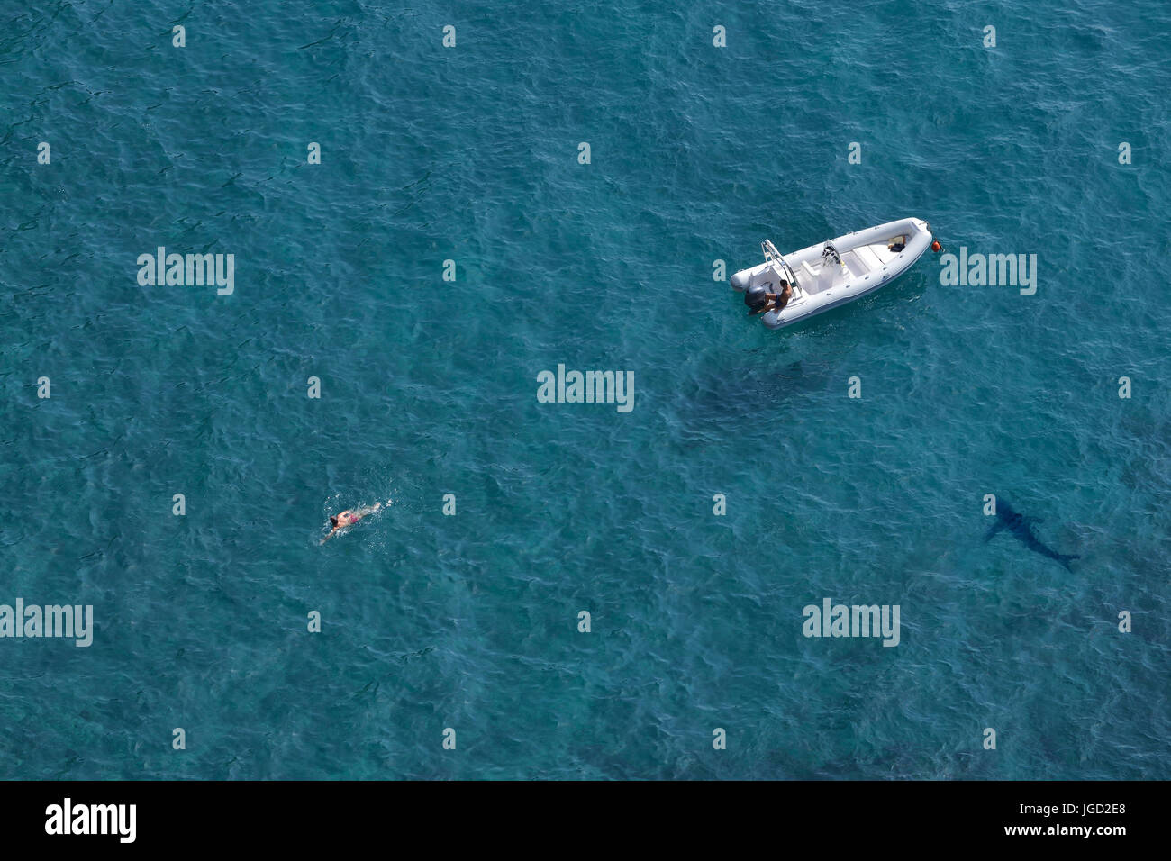 Aerial view of a swimmer and a shark in water with a white speed boat on a blue clear sea water Stock Photo