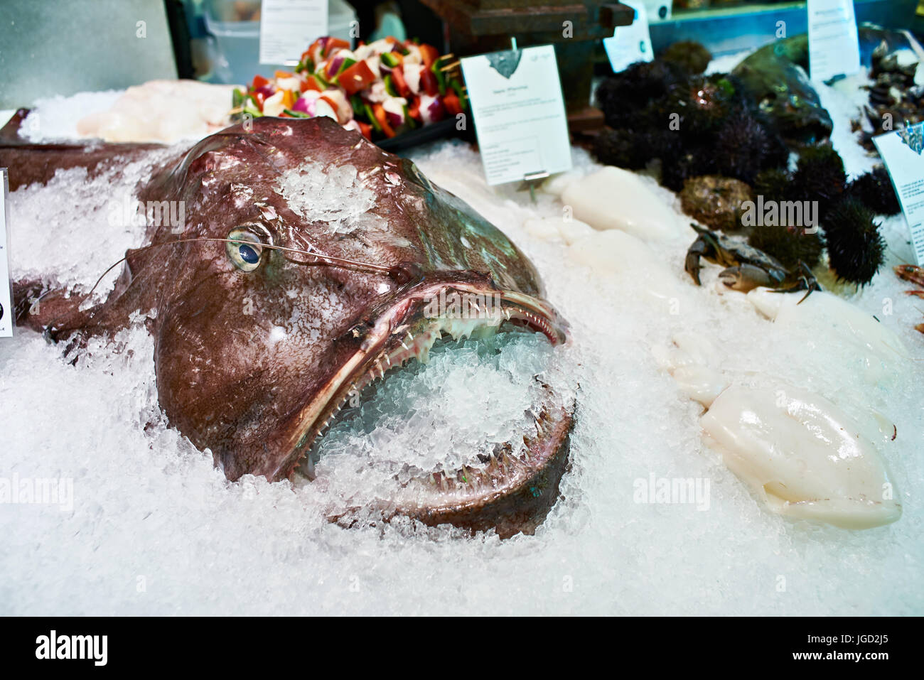 Angler fish or monkfish in ice on store Stock Photo