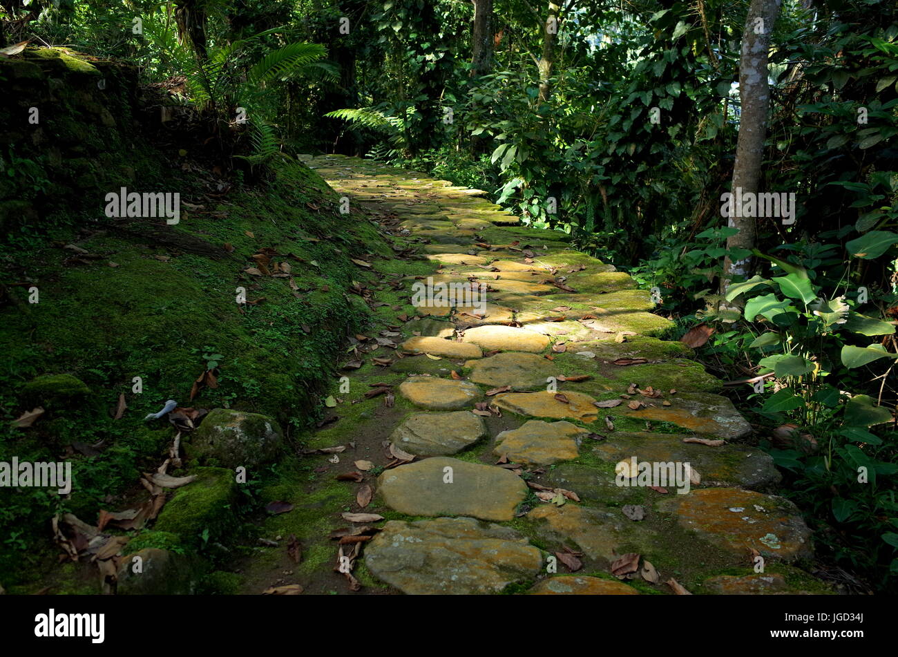 Ciudad perdida hi-res stock photography and images - Page 2 - Alamy