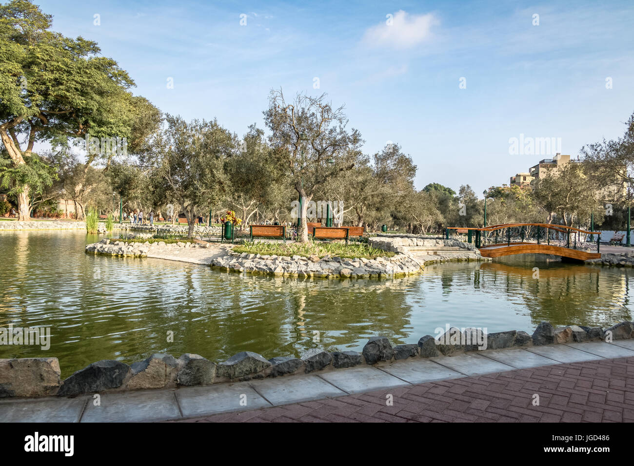 Olive Grove Park (or El Olivar Forest) in San Isidro district - Lima, Peru Stock Photo