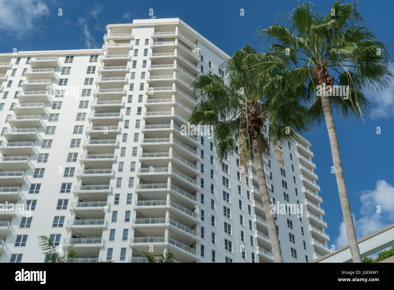 High-Rise condominium in Miami, Florida with palm trees in foreground. Stock Photo