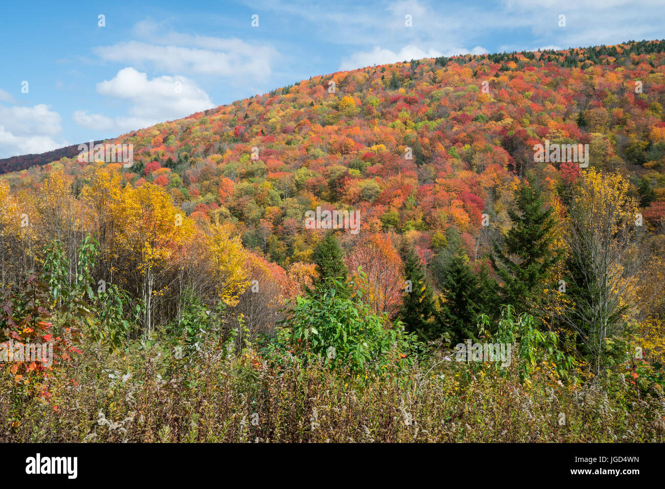 Autumn in the West Virginia Moutains Stock Photo