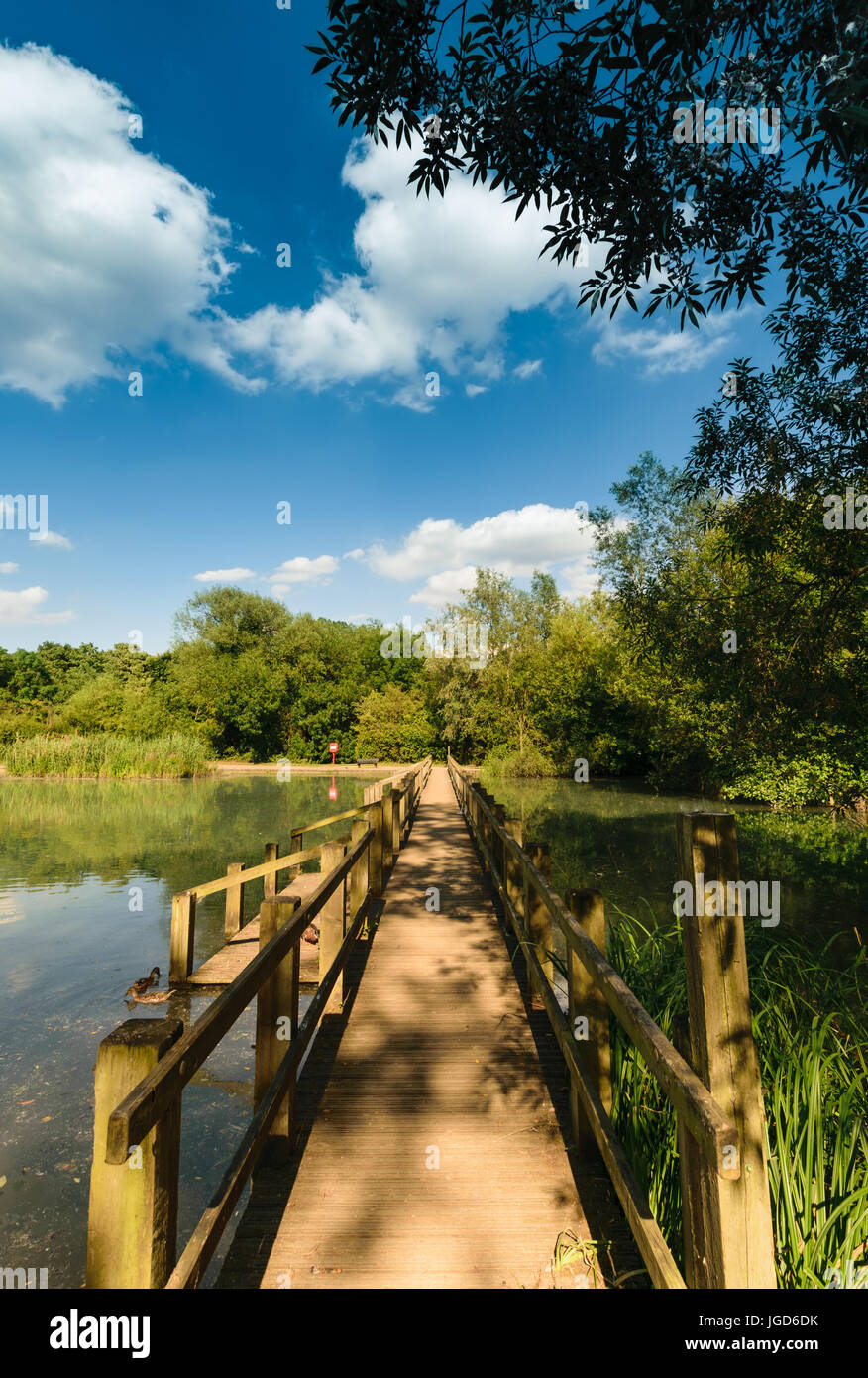 shadows on wood bridge at Stanborough Lake, Welwyn Garden City Stock Photo