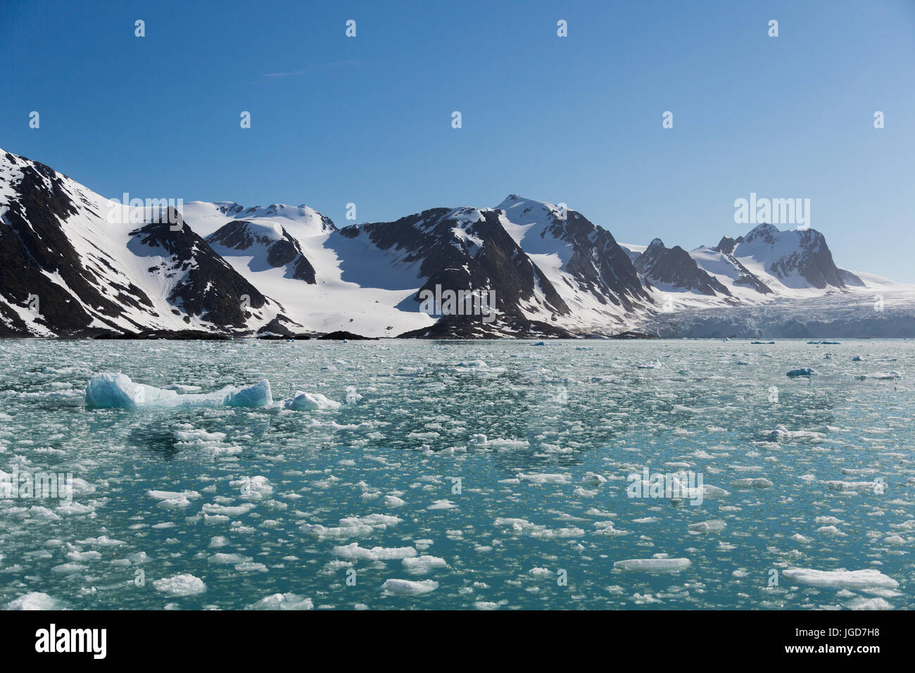 The still, clear water of a bay at the tongue of a glacier is speckled with floating fragments of ice from a recent calving event. Stock Photo