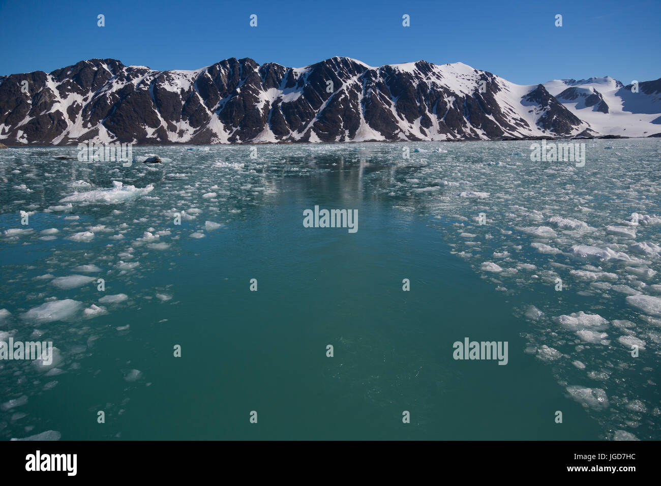 The still, clear water of a bay at the tongue of a glacier is speckled with floating fragments of ice from a recent calving event, with a path swept clear by a boat. Stock Photo