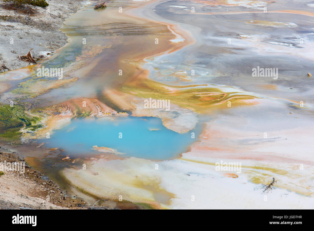 Detail of a hot spring in Porcelain Basin, Norris Geyser Basin in ...