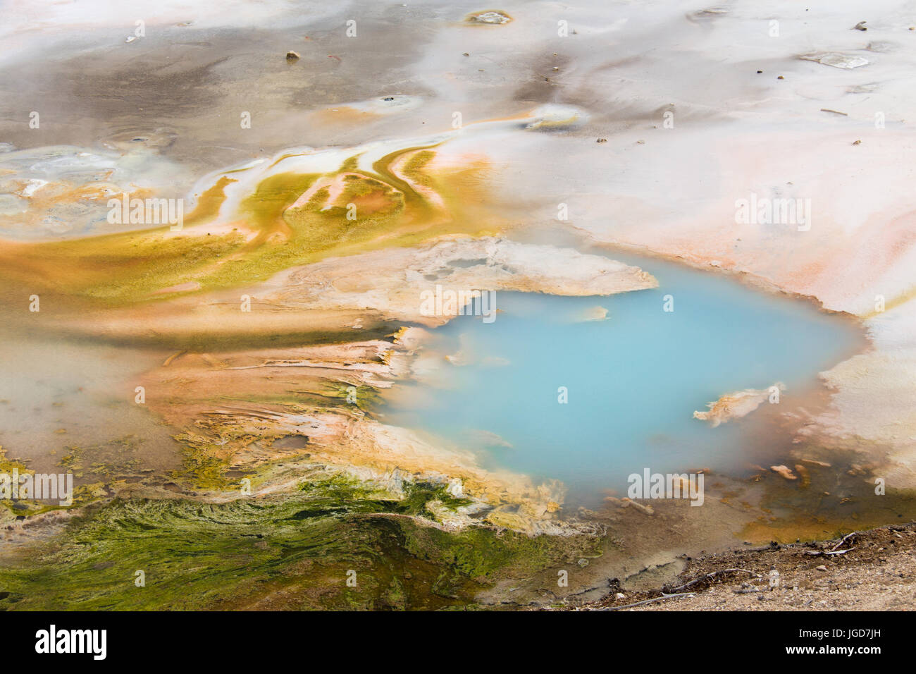 Detail of a hot spring in Porcelain Basin, Norris Geyser Basin in ...