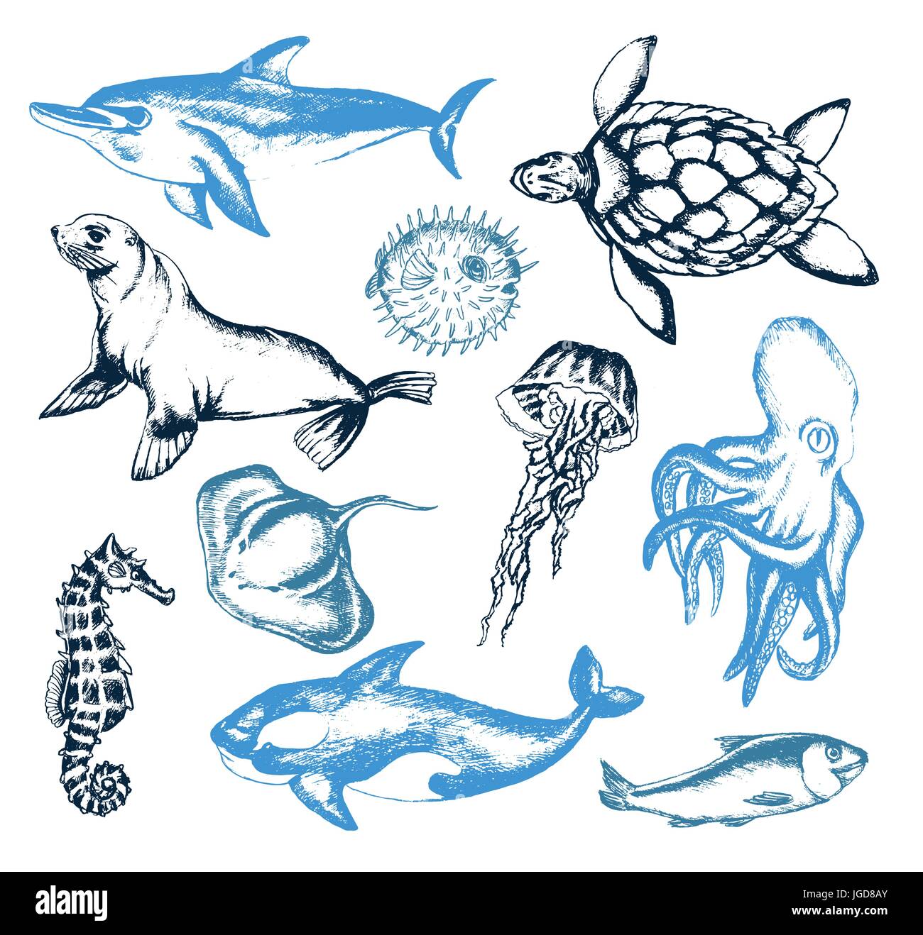 Sea Creatures - llustration of color vector hand drawn vintage