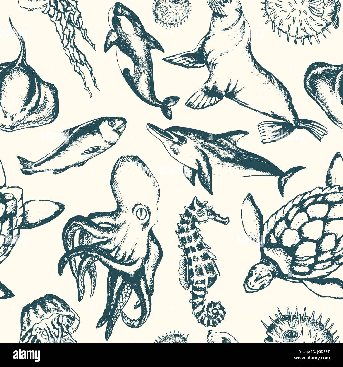 Sea Creatures - black and white vector hand drawn seamless pattern. Realistic  turtle, dolphin, killer whale, cowfish, fur seal, sea bear, jellyfish, o  Stock Vector Image & Art - Alamy