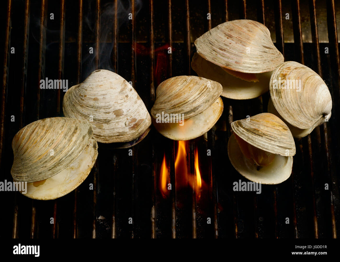 Clams cooking on a grill Stock Photo