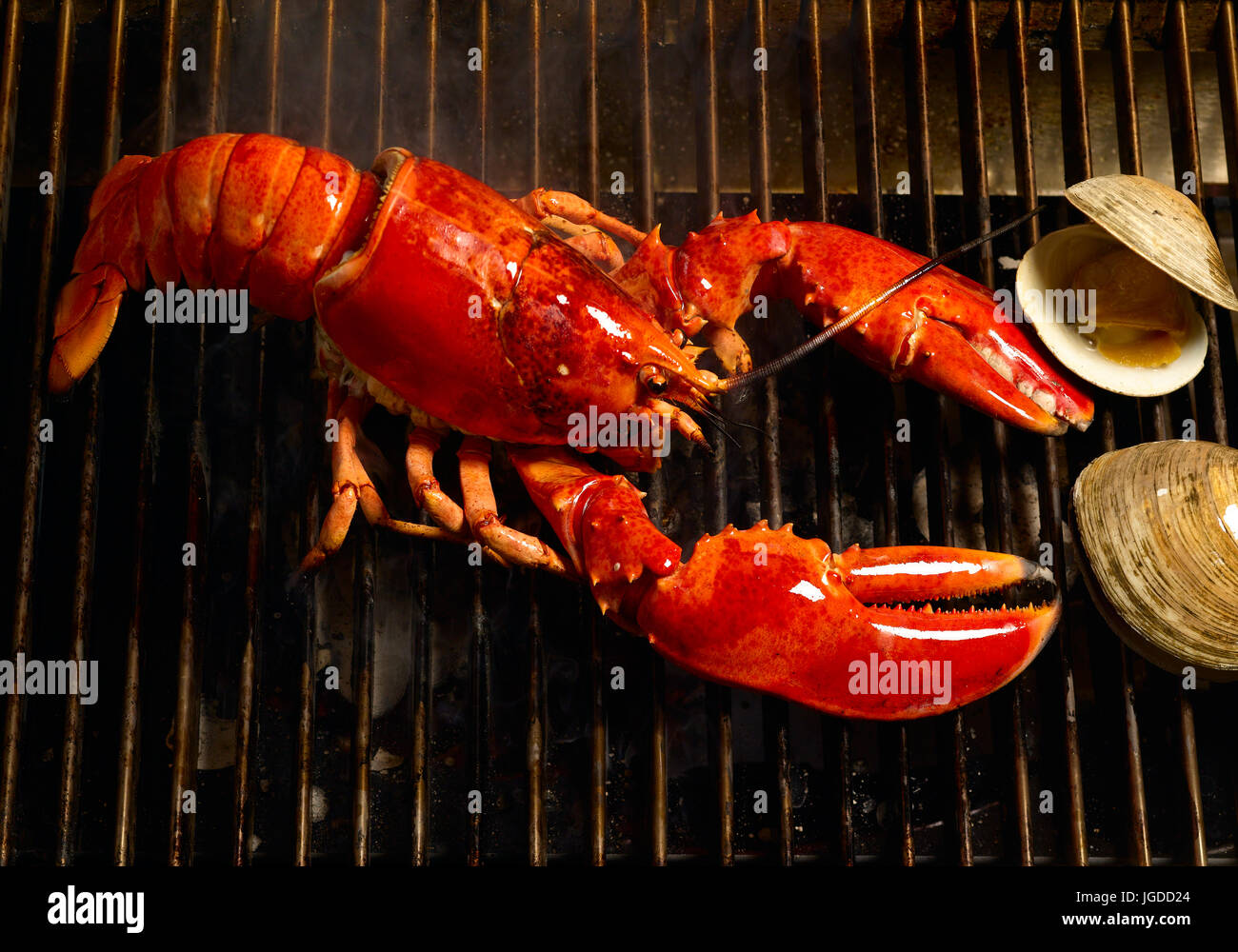 Lobster and clam bake Stock Photo