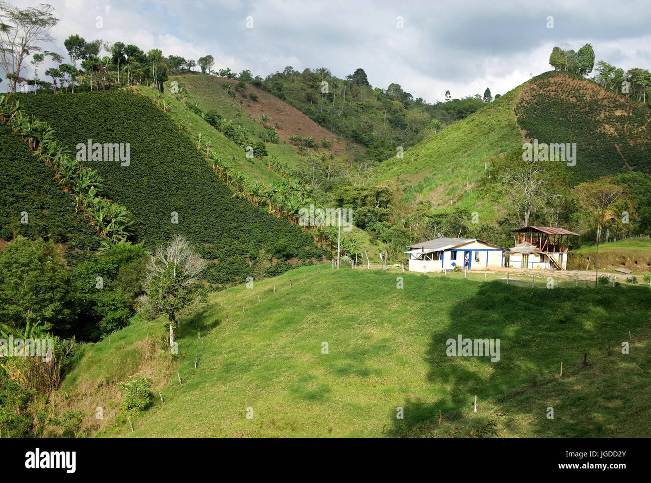A traditional coffee finca in Salento, Colombia Stock Photo