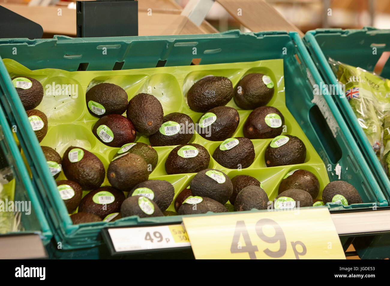 fresh avocados on sale in a tesco supermarket Stock Photo