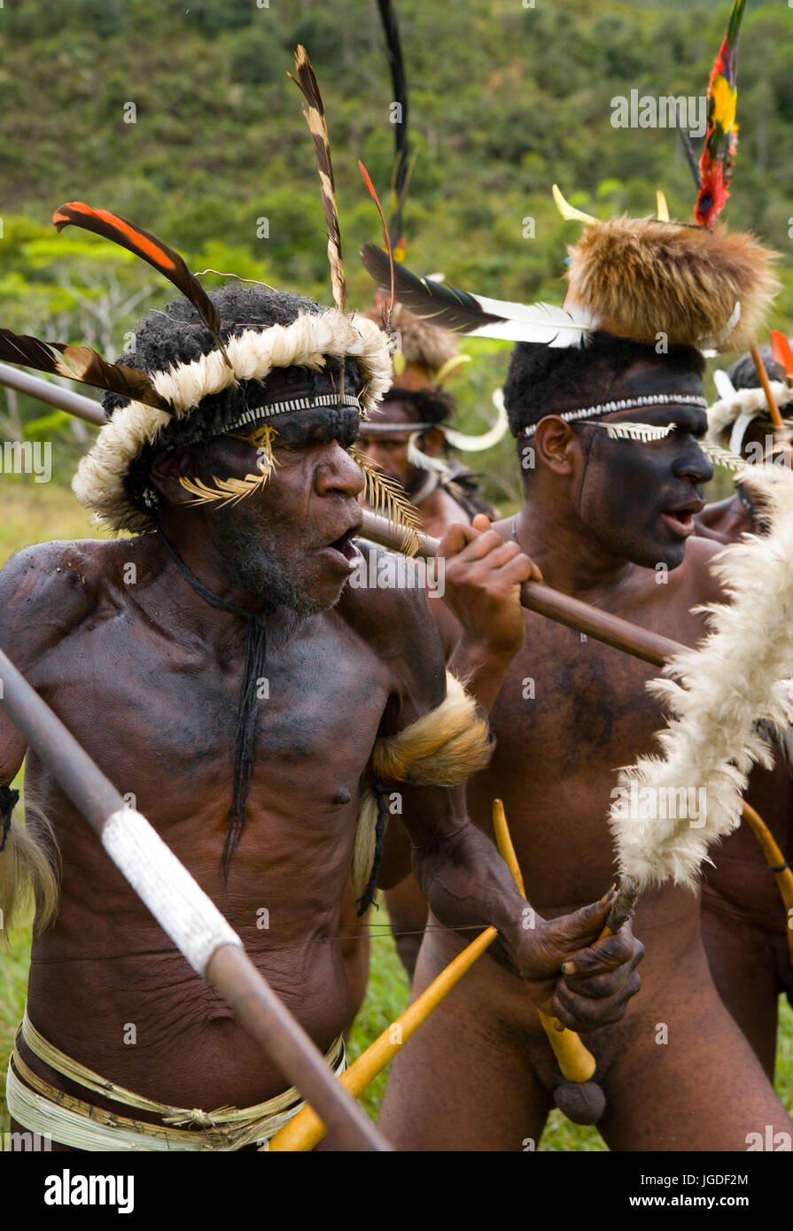 DANI VILLAGE, WAMENA, IRIAN JAYA, NEW GUINEA, INDONESIA – 25 JULY 2009: Dani tribe Warriors. July 2009, 2012 The Baliem Valley, Indonesian, New Guinea Stock Photo