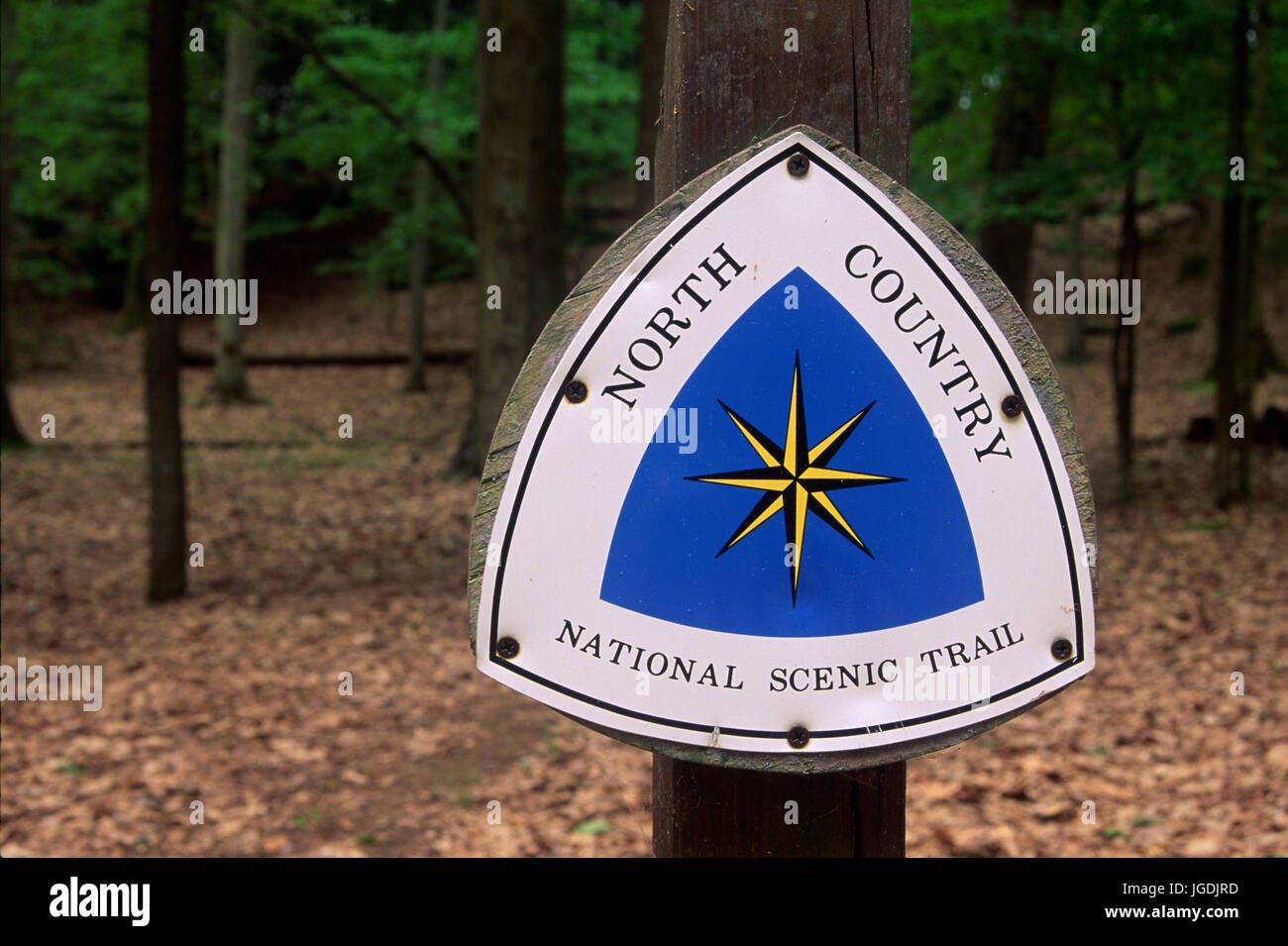 Trail sign, Cook Forest State Park, Pennsylvania Stock Photo