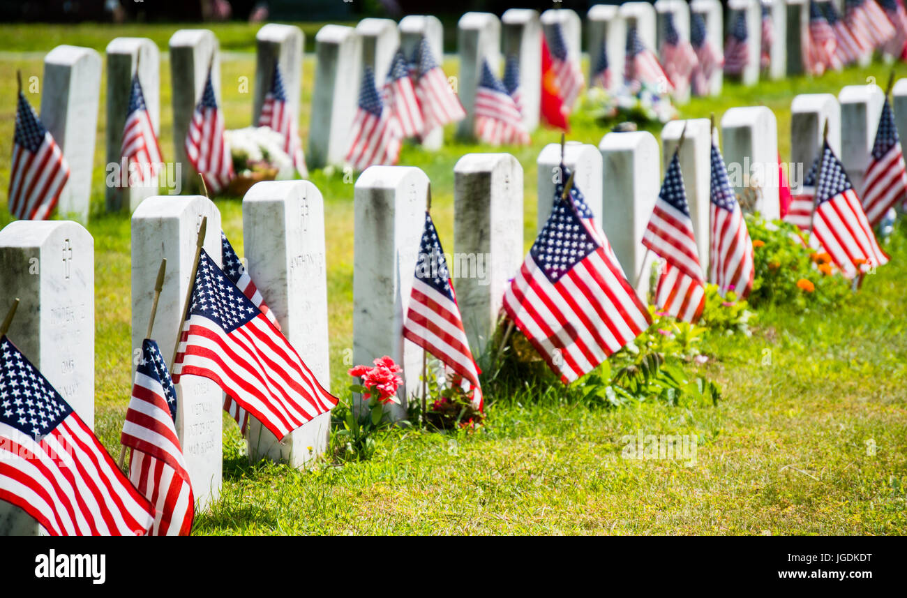 rows of grave markers with American flags in military cemetery Stock ...